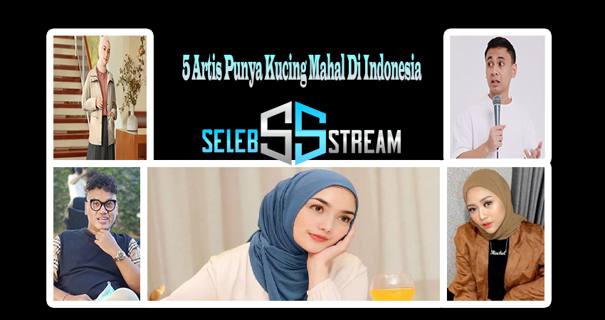 5 Artis Punya Kucing Mahal Di Indonesia