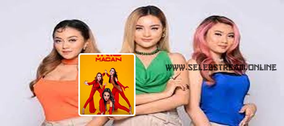 Trio Macan